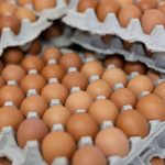 El Departamento de Agricultura impulsa la compra de huevo local