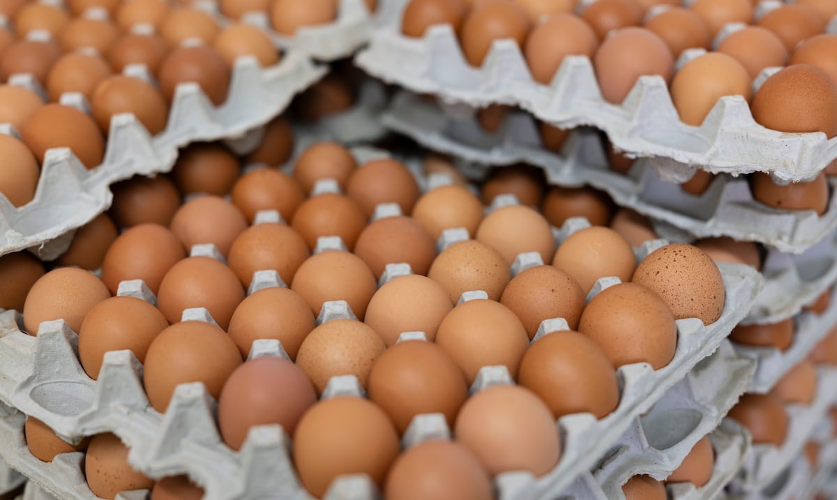 El Departamento de Agricultura impulsa la compra de huevo local