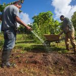 La sequía y las interrupciones en el servicio de agua amenazan al sector agrícola