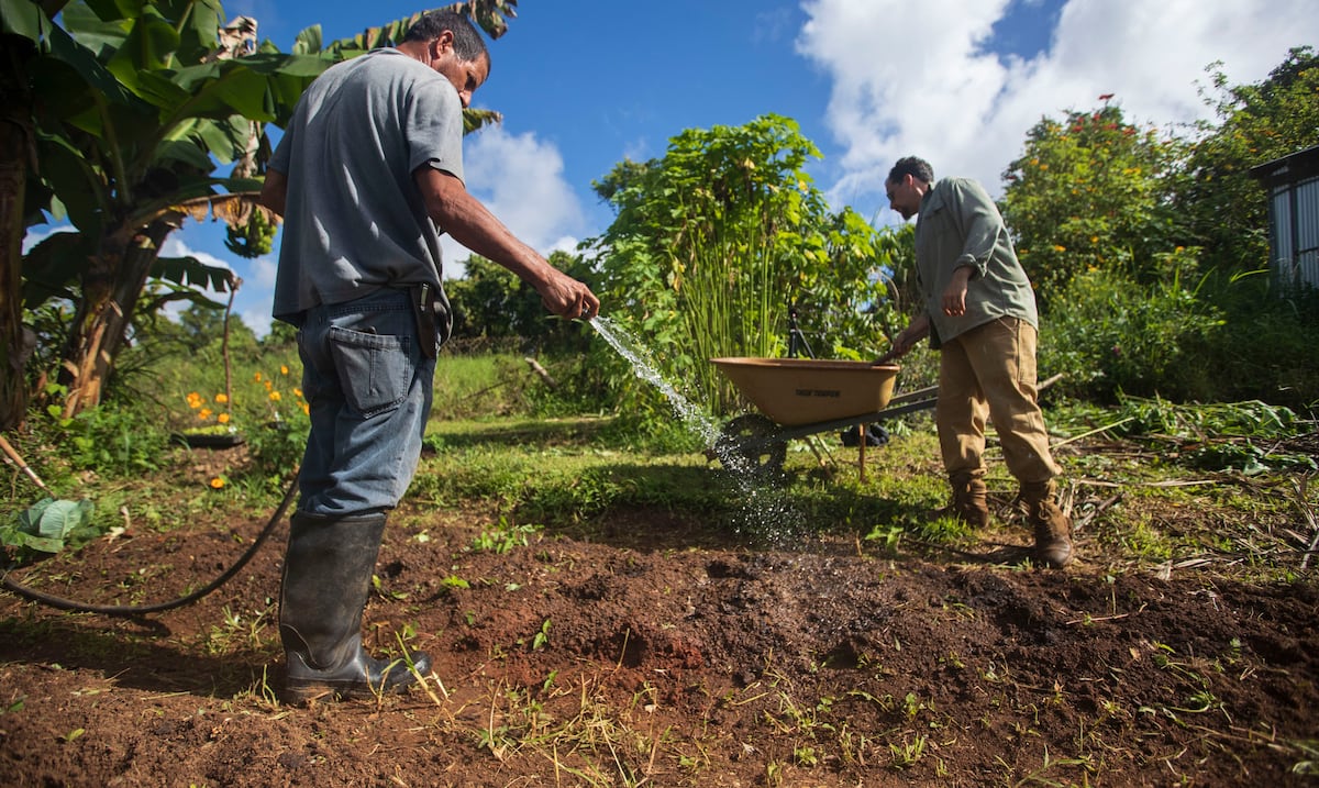 La sequía y las interrupciones en el servicio de agua amenazan al sector agrícola