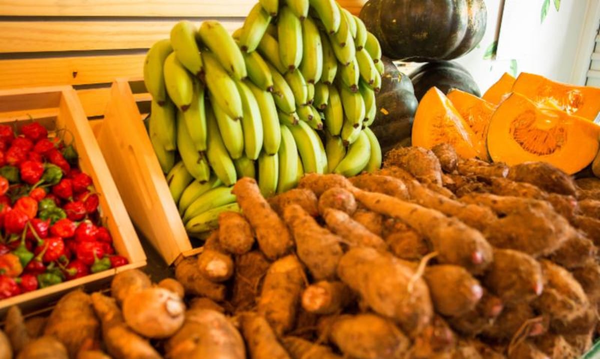 Agroempresarios aspiran elevar a 20% la tasa de alimentos locales que se consumen en la isla
