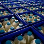 Censo Agrícola revela significativo aumento en la venta y producción de productos en Puerto Rico
