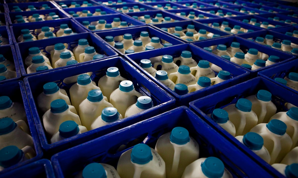Censo Agrícola revela significativo aumento en la venta y producción de productos en Puerto Rico