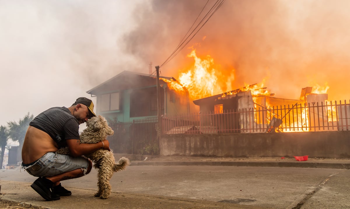 Suben a 19 los muertos en incendios forestales en Chile entre inquietud por reactivación de focos