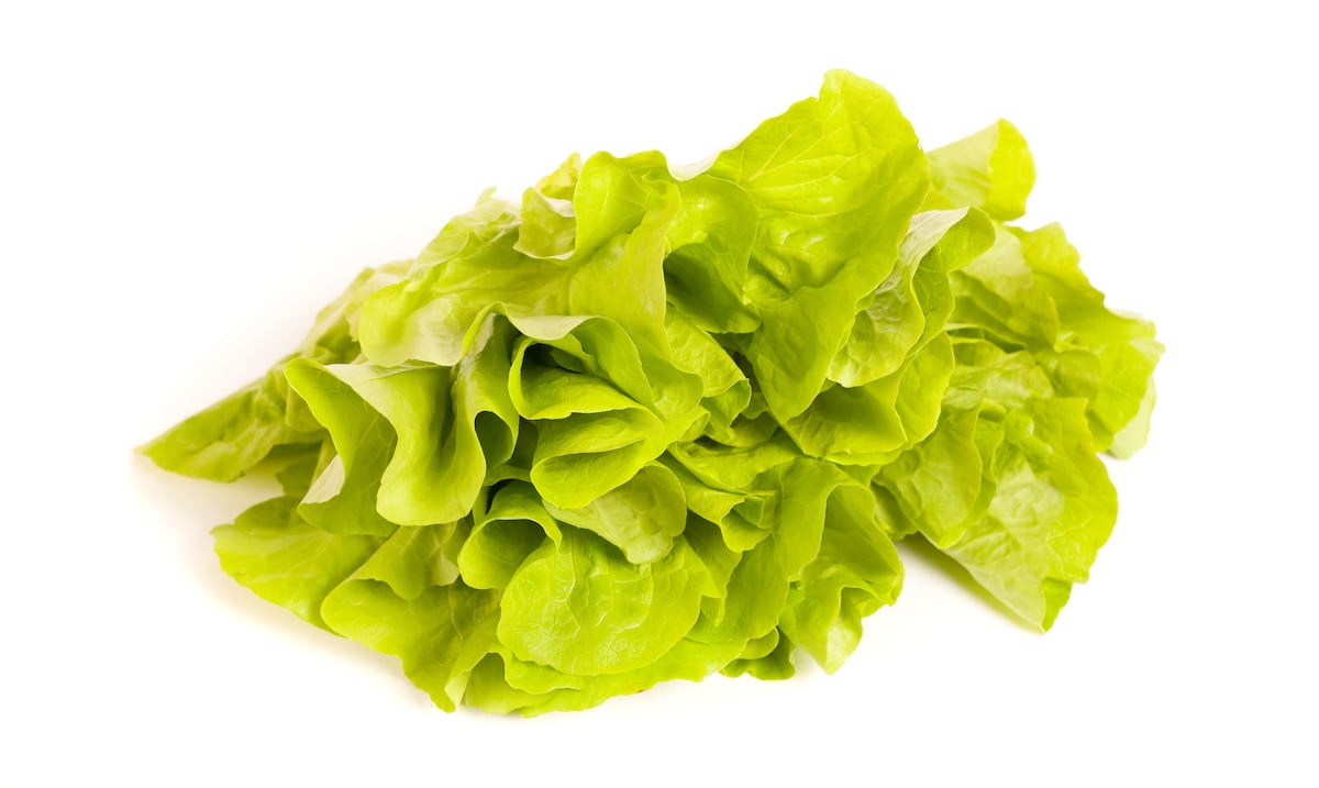Taylor Farms retira del mercado lechuga vinculada a brote de ciclosporosis en Estados Unidos