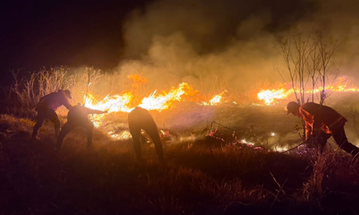 Crece un incendio forestal en un parque nacional de Indonesia
