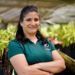 Semila: un proyecto agroforestal convertido en chocolate