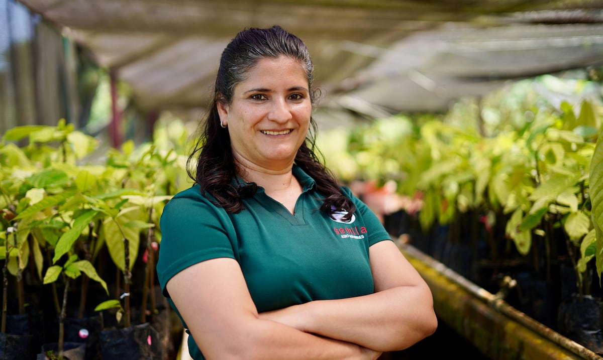 Semila: un proyecto agroforestal convertido en chocolate