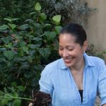 ¿Tienes plantas en casa? Trucos para que sobrevivan la sequía sin desperdiciar agua