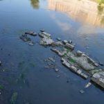 Sequía en Roma deja al descubierto el Puente de Nerón bajo las aguas del río Tíber