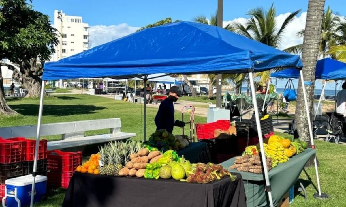 Cerca de 50 emprendedores participarán este domingo del Agromercado Cultural del Último Trolley