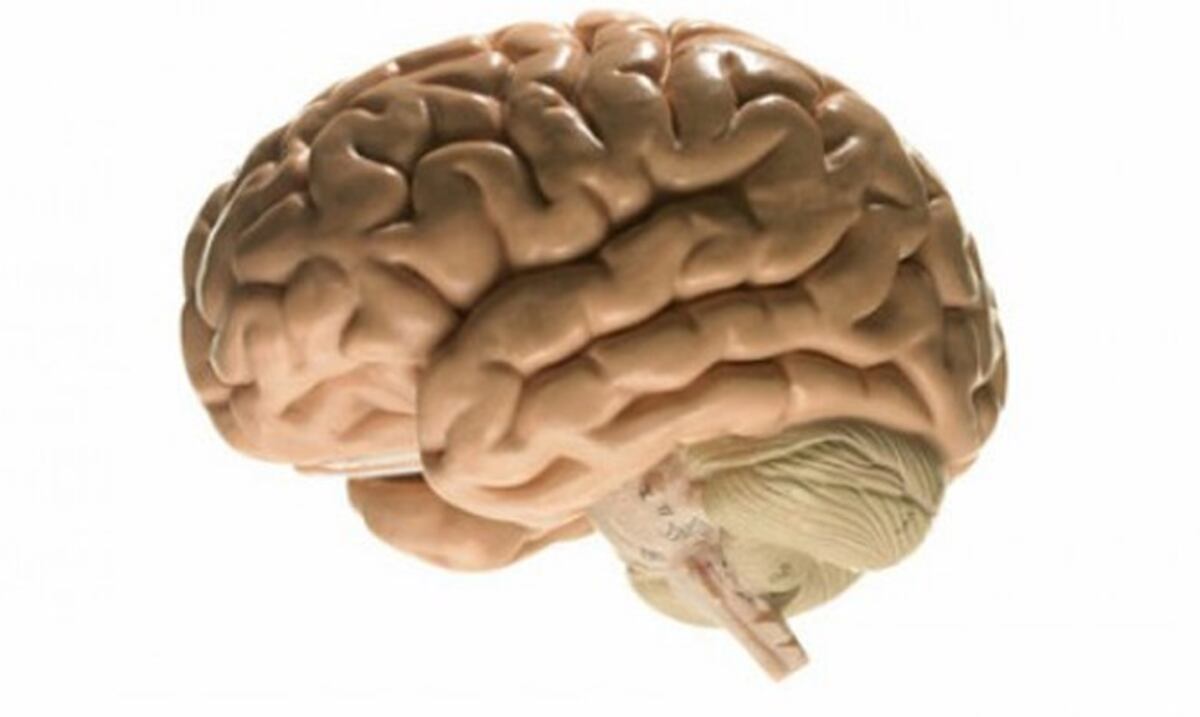Cómo prevenir o atender rápidamente un accidente cerebrovascular