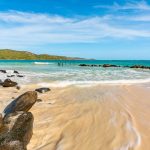Flamenco conquista el cuarto lugar entre las mejores playas del mundo: “Una de las más queridas”