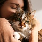 Las enfermedades silenciosas que pueden sufrir los gatos: cómo identificarlas