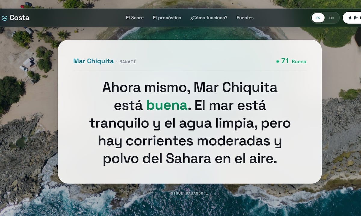¿Hay sargazo o resaca? Boricua lanza aplicación que informa el estado de las playas en tiempo real