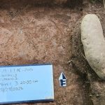 Hallazgos nunca antes documentados revelan una nueva historia de Caguana