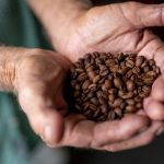 Precios del café: Cámara de Representantes pondera trasladar la regulación de DACO a Agricultura