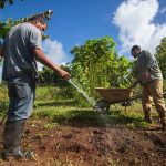 Solicitan ayuda a Agricultura federal para compensar los efectos de la sequía