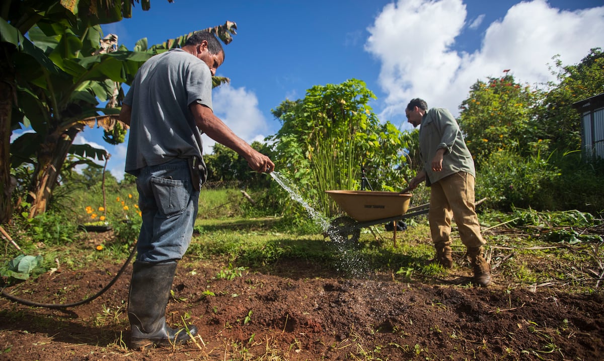 Solicitan ayuda a Agricultura federal para compensar los efectos de la sequía