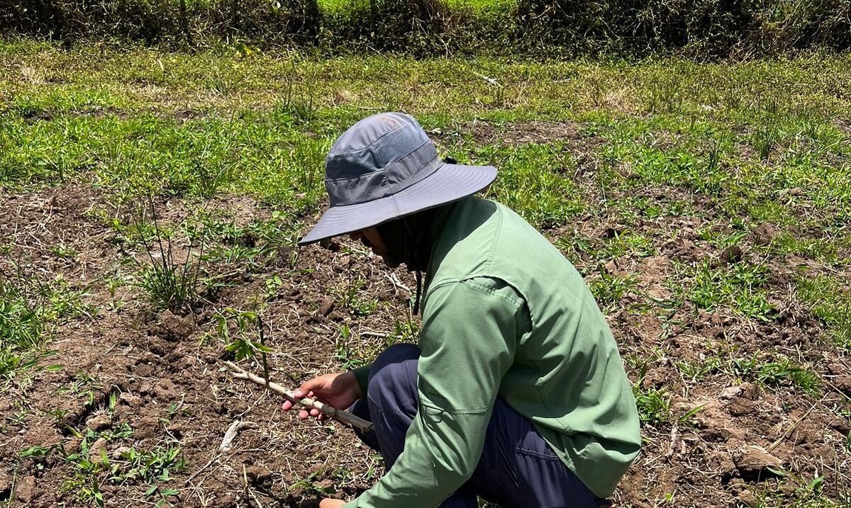 Agricultores sobreviven con la mano de obra extranjera