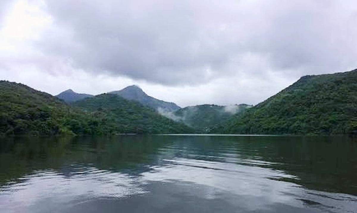 Empresarios donan un tesoro ecológico de 3,740 cuerdas: estos son los pueblos
