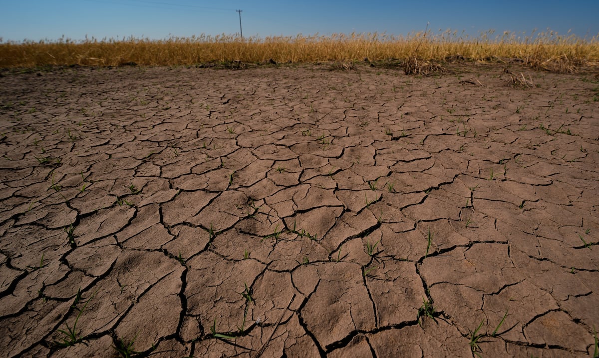 Opinión | El fortalecimiento de El Niño