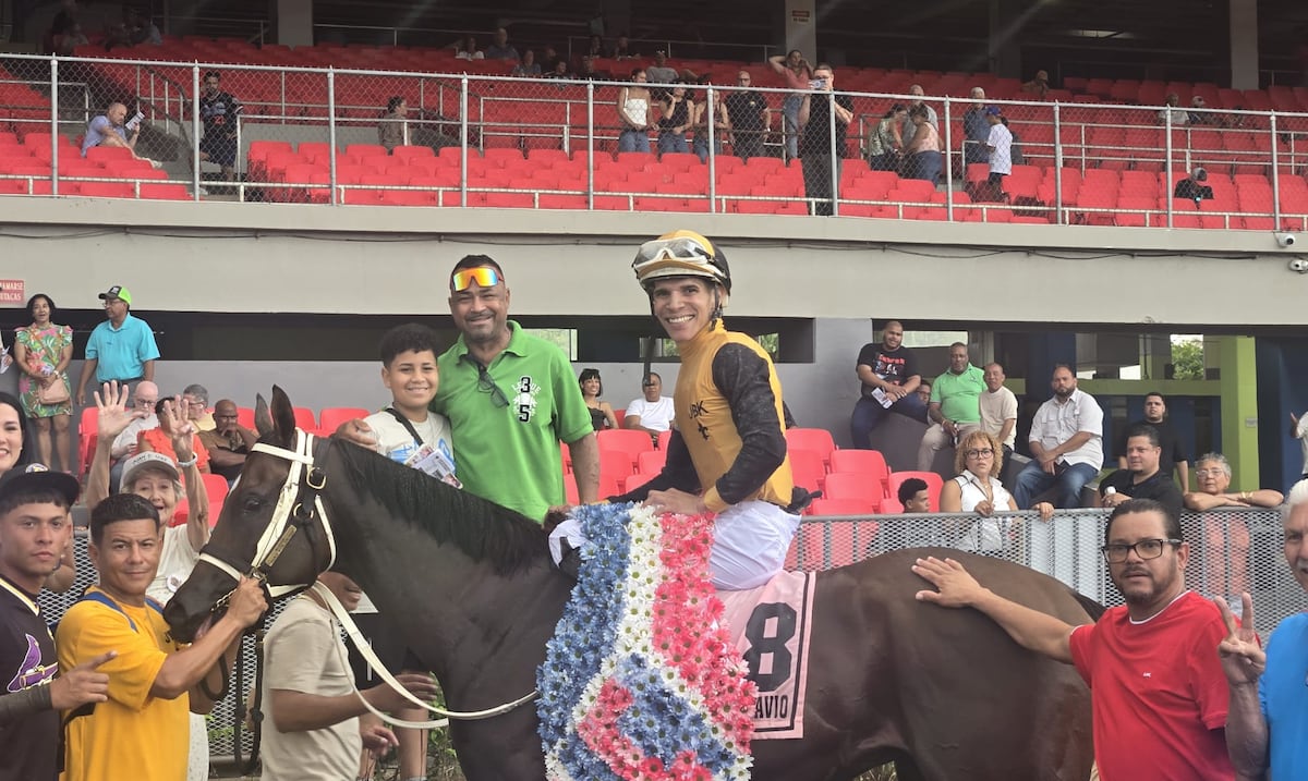 Puerto Rico pierde una de sus principales cartas para el Clásico del Caribe de hipismo