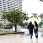 Opinión | Servidores públicos y activismo partidista