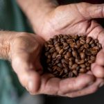 DACO aumenta el precio mínimo del café en Puerto Rico tras años sin una revisión integral