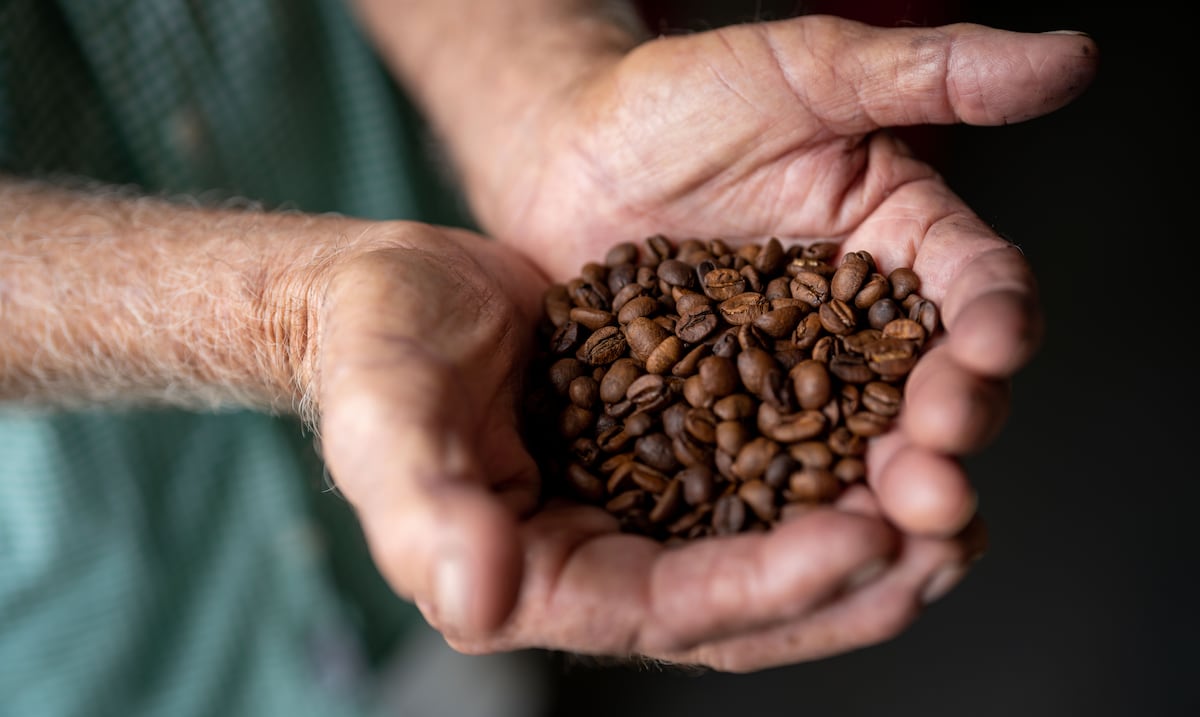 DACO aumenta el precio mínimo del café en Puerto Rico tras años sin una revisión integral