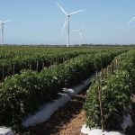 Cierran hipotecas de más de $250 millones para proyectos de energía renovable con baterías