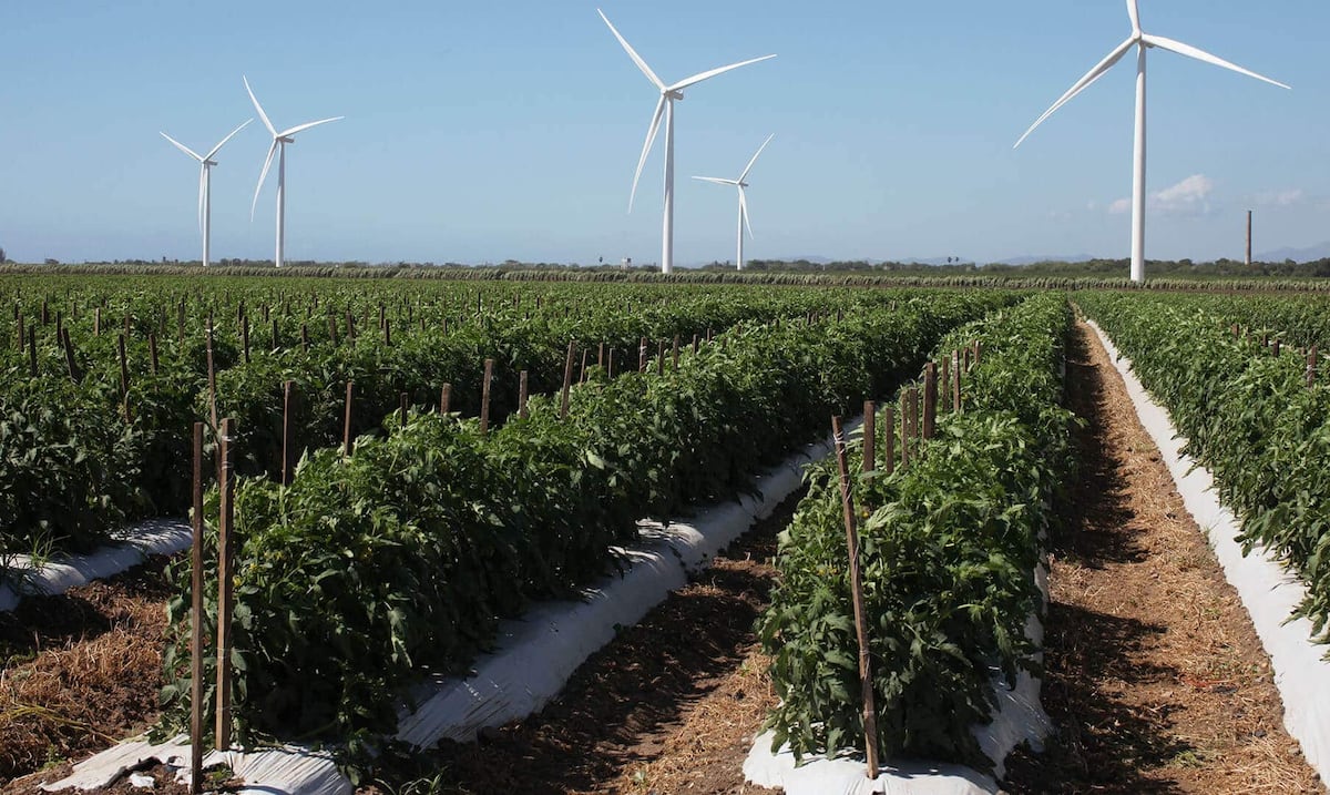 Cierran hipotecas de más de $250 millones para proyectos de energía renovable con baterías