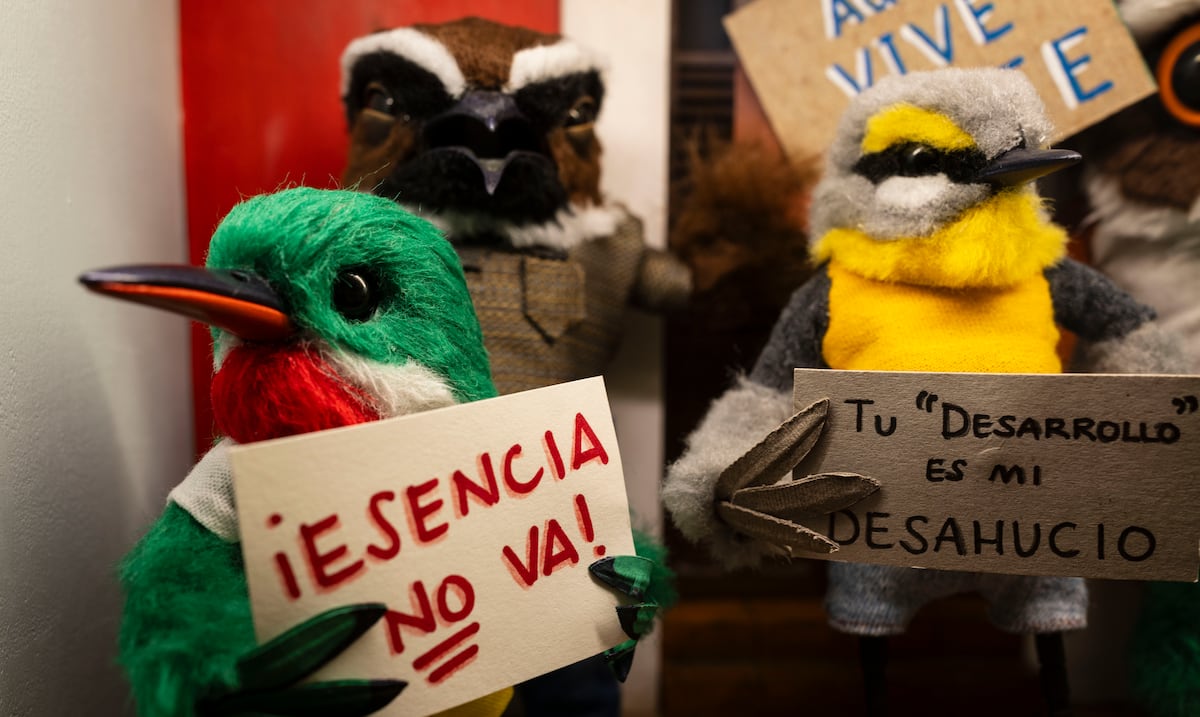 Conoce la muestra “Anécdotas de un San Pedrito” del artista Quique Rivera
