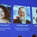 Otorgan el Premio Nobel de Medicina a tres científicos por su trabajo sobre el sistema inmunológico humano