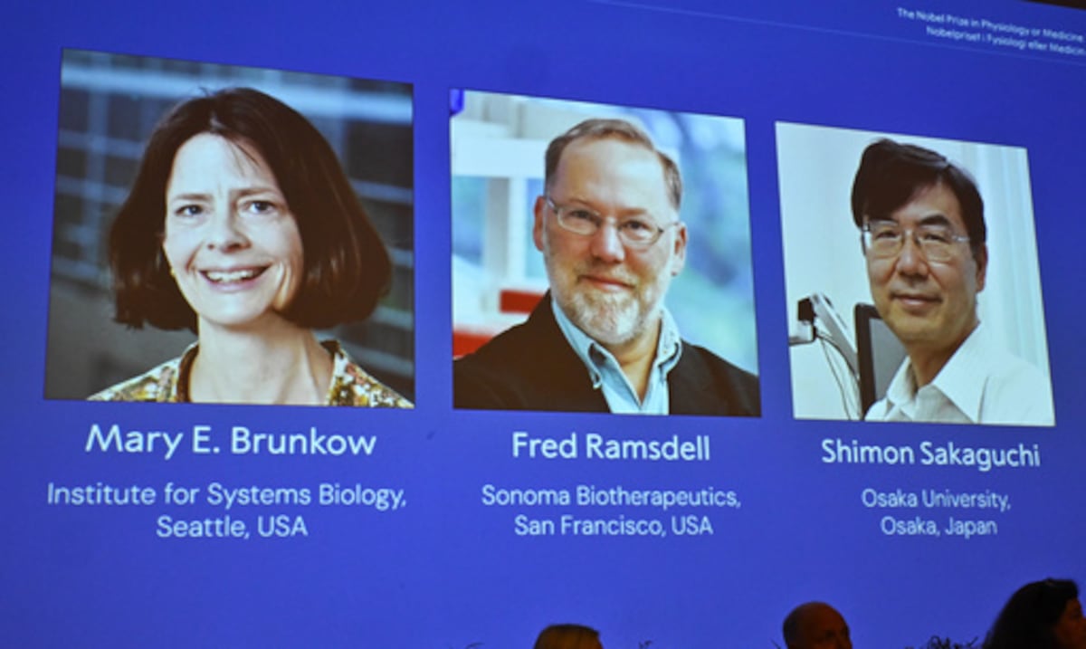 Otorgan el Premio Nobel de Medicina a tres científicos por su trabajo sobre el sistema inmunológico humano