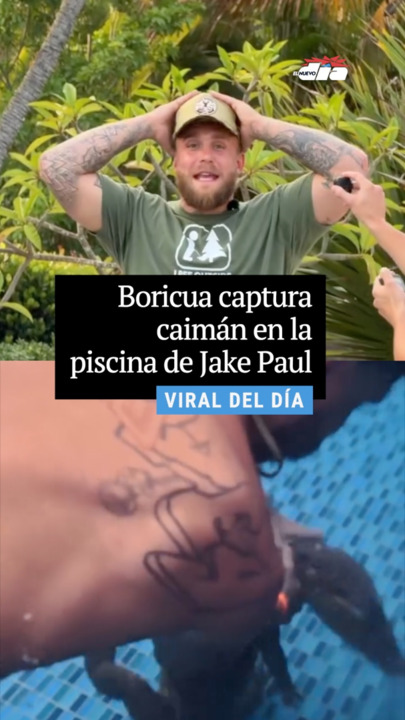 Boricua captura caimán en la piscina de Jake Paul