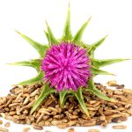 Qué es el “milk thistle” o cardo mariano y para qué sirve