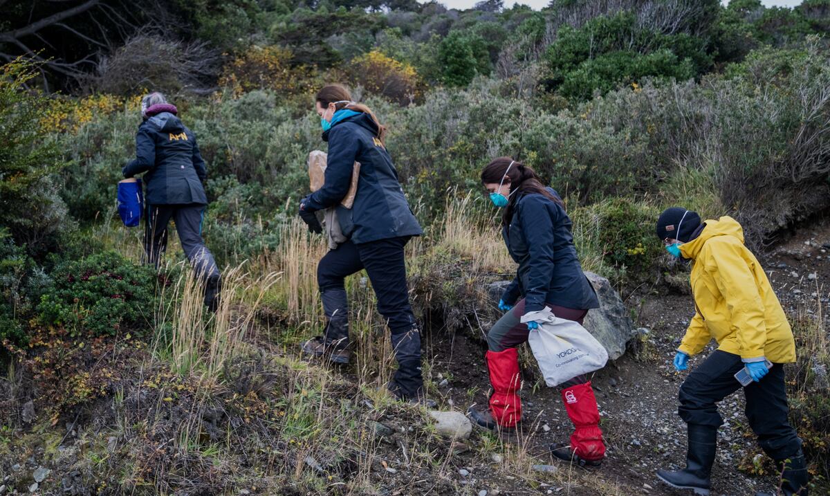 Argentina amplía investigación por hantavirus y envía equipos a atrapar y analizar ratas en Mendoza