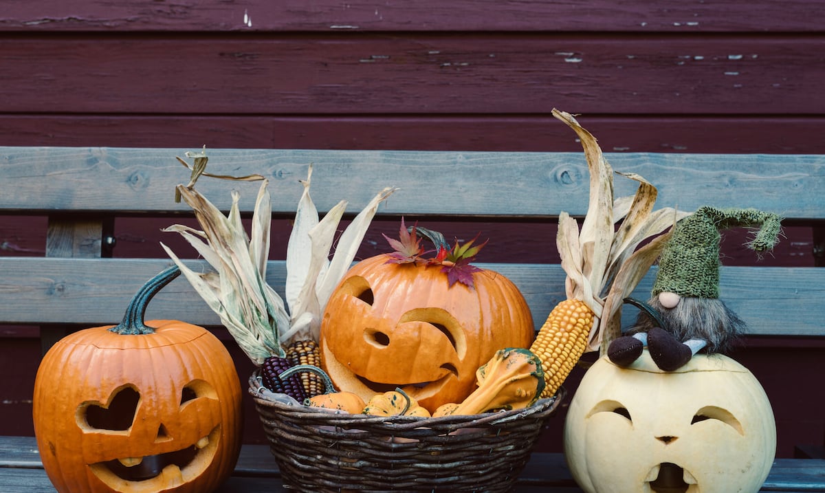 Más allá de Halloween:   ¿Cómo pasó la calabaza de ser un manjar en la cocina a una pieza de decoración?